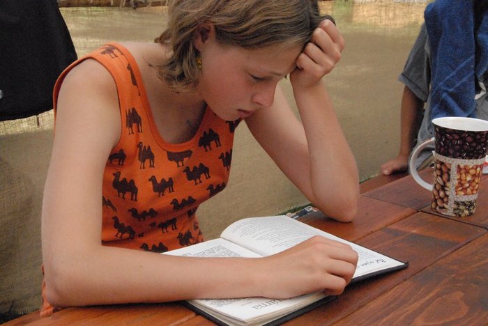 2006 tabor Attis Calypso 92